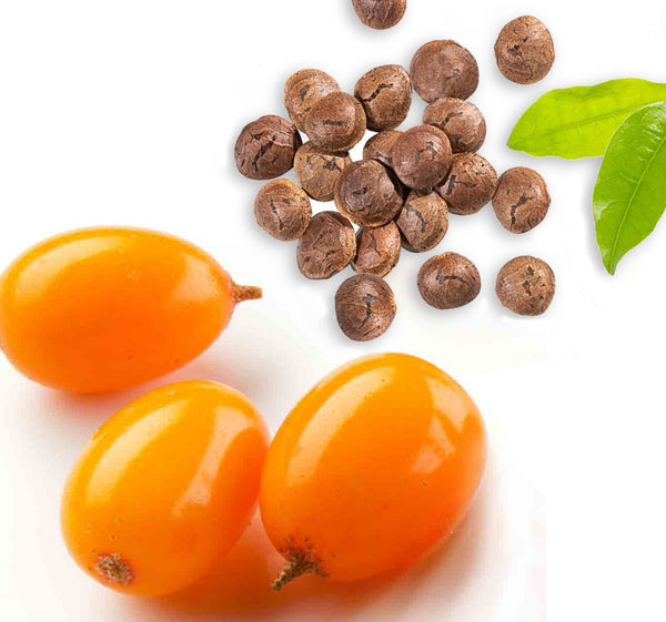 Omega 3 Benefits for Skin Skin Repair Tips SkinIntegra