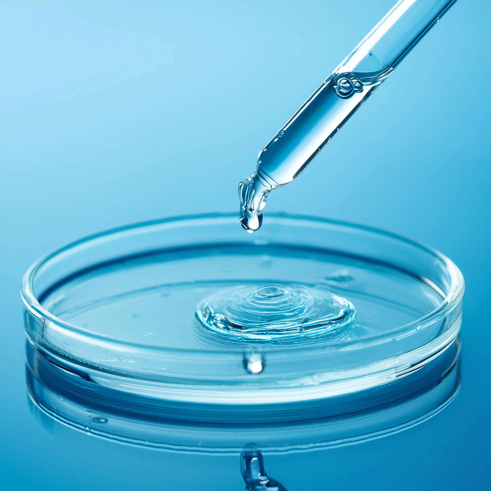 Lactic acid droplets in a dish