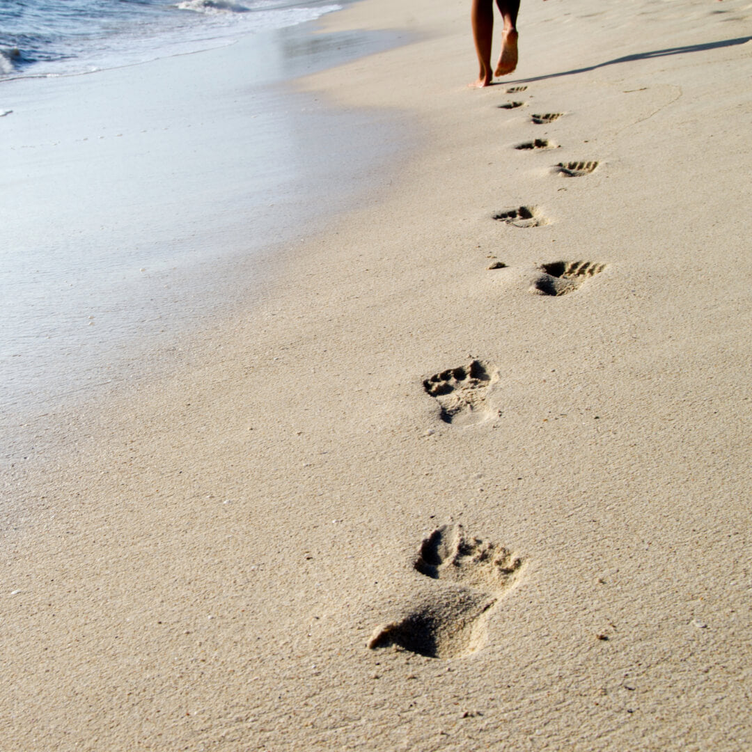 Diabetic Feet in the summer